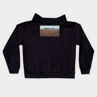 A Few Birds Flying in Front of an Old Barn Kids Hoodie